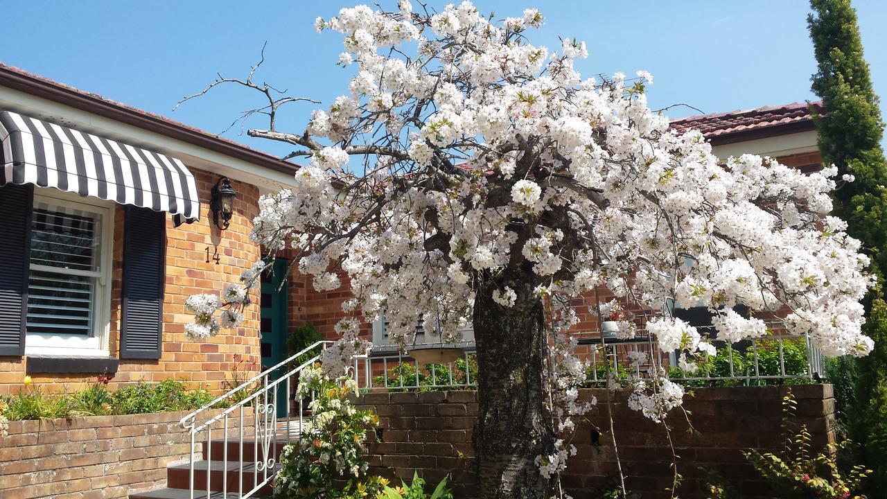 WINSTON COTTAGE AT THREE SISTERS | KATOOMBA, AUSTRALIA | SEASON DEALS ...